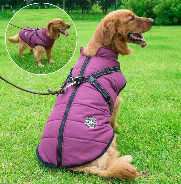 🐱🐶❄️ Teplá zateplená bunda pro psy a kočky — vodoodpudivá, s reflexními prvky a integrovaným postrojem, dostupná ve velikostech S–5XL.