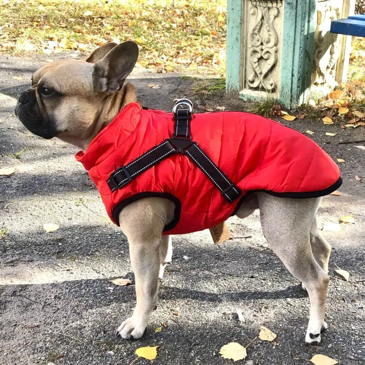 🐱🐶❄️ Teplá zateplená bunda pro psy a kočky — vodoodpudivá, s reflexními prvky a integrovaným postrojem, dostupná ve velikostech S–5XL.