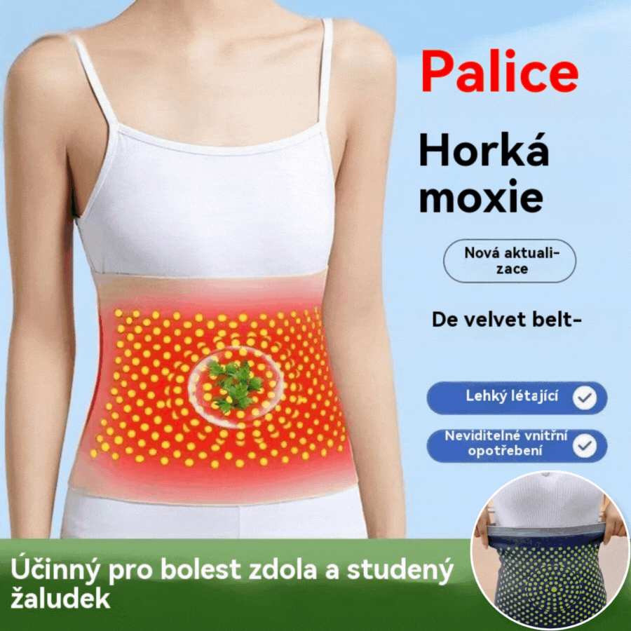 🔥【Balenie 2 kusov】🔥Hrejivý vyhrievací pás s palinou, zahrieva brucho a zmierňuje nepohodlie